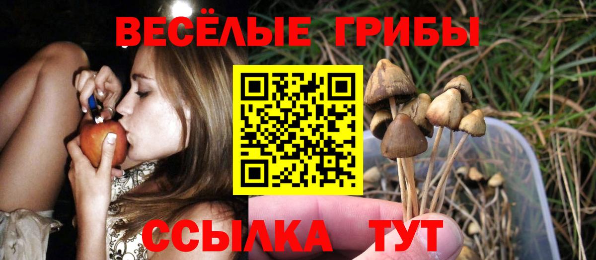 продажа наркотиков  Галлюциногенные грибы Magic Shrooms  Вход с VPN  Асбест 