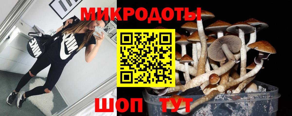 Галлюциногенные грибы Psilocybe Асбест
